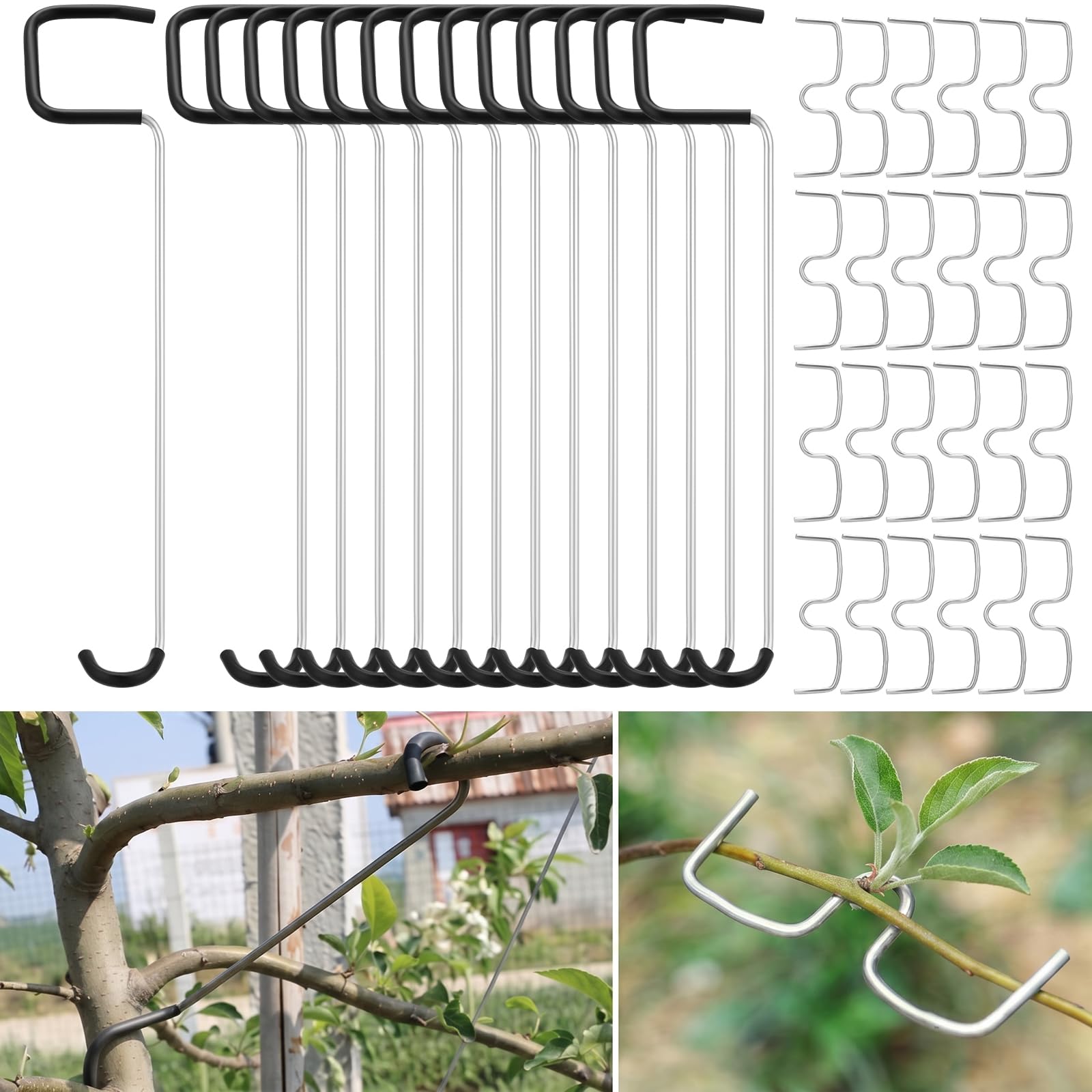 Photo 1 of MorningRo 50 Pcs Fruit Tree Branch Spreaders (3.94" & 10")
