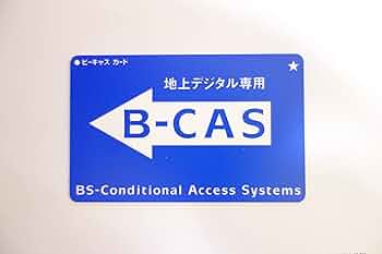ブルーレイレコーダー　B-CASカードあり 31zcEyViprL._AC_UL210_SR210,