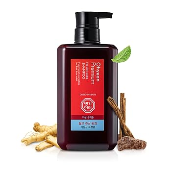 DAENG GI MEO RI - Ohyeon Premium Shampoo for Oily Hair & Scalp Best Shampoo for Oily Hair, Fine Hair, Thin Hair Korean Herbal Formula, Deep Cleansing, Sebum Control, Paraben & Sulfate-Free 500ml