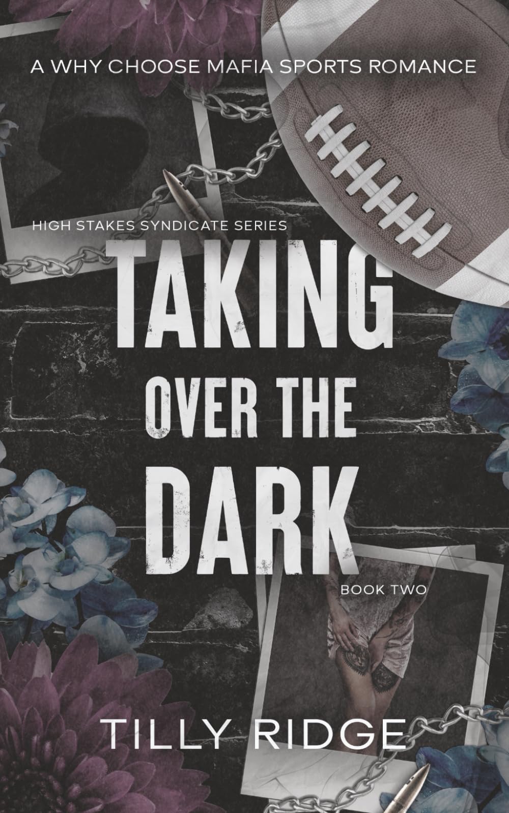 Taking Over the Dark: A Why Choose Mafia Sports Romance: 2 (High Stakes Syndicate Series)