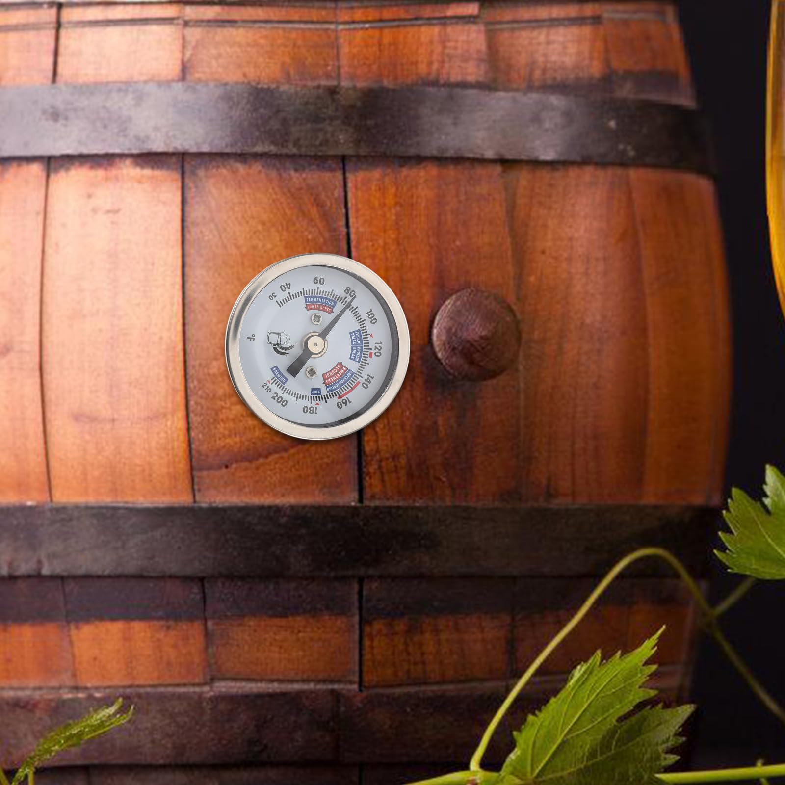 Termómetro de Barril de Vino de Acero Inoxidable Plata de Lectura Precisa
