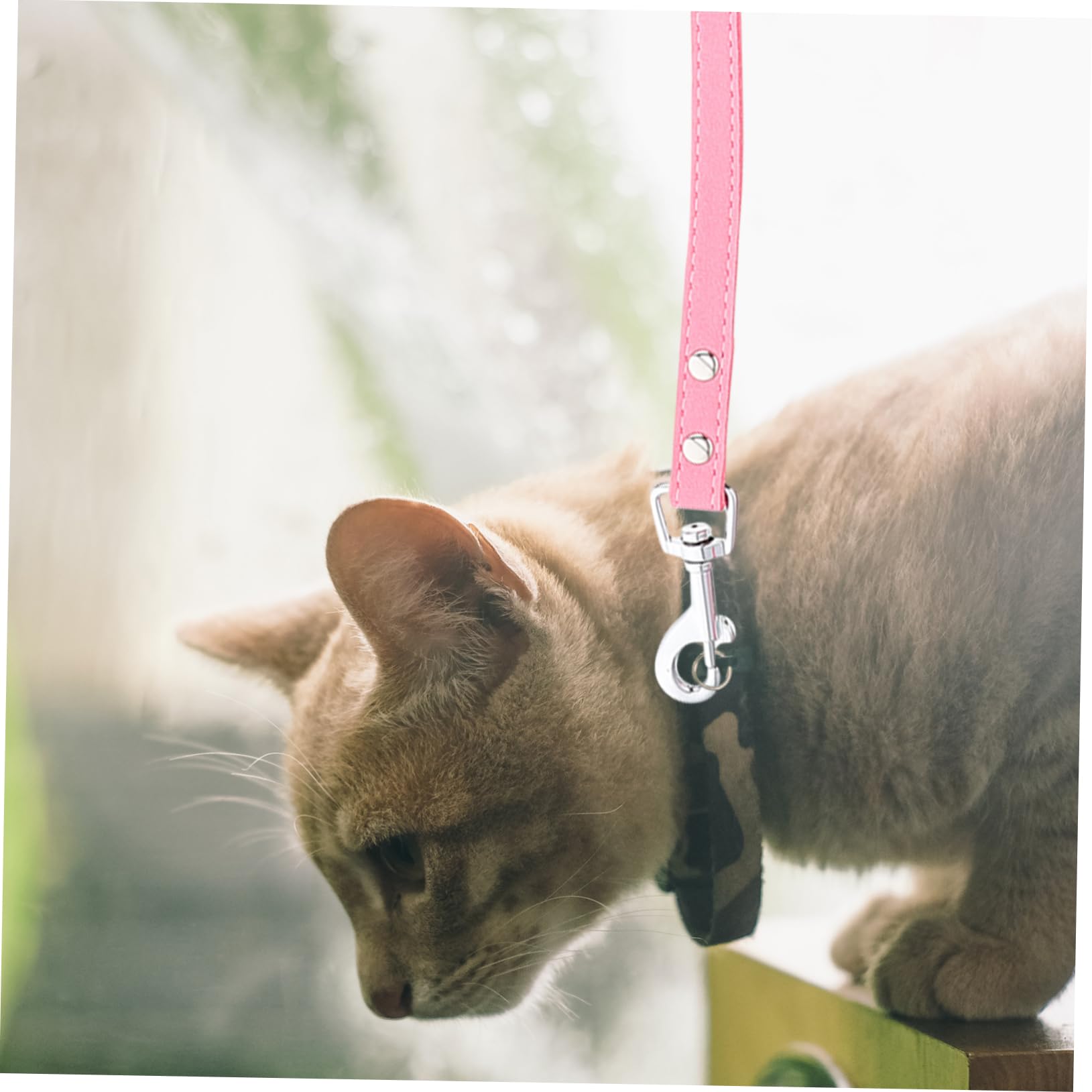 Yardwe Rhinestone Bow Pet Leash Adjustable Cat Dog Traction Rope Lightweight Pet Hauling Rope for Outdoor Use for Walking Training