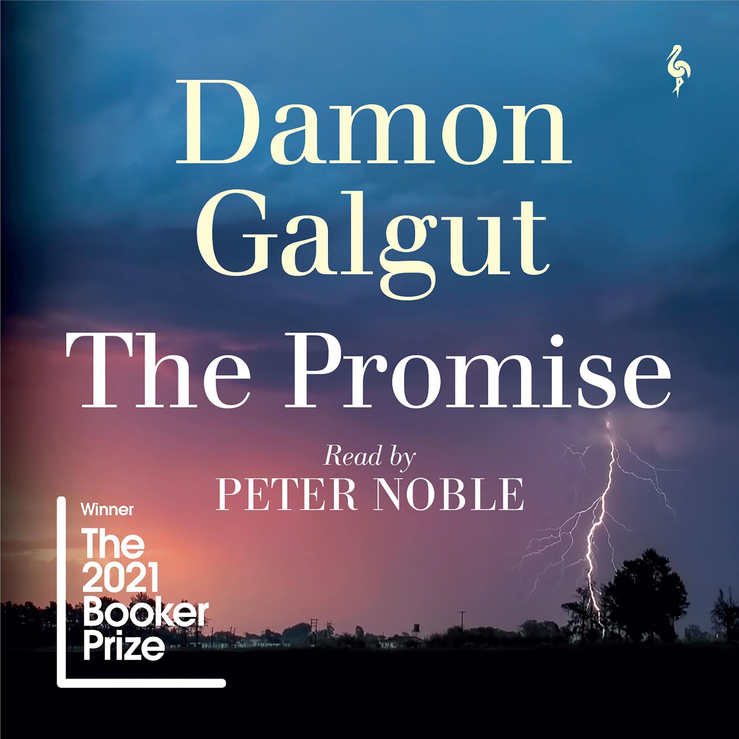 Cover art for The Promise