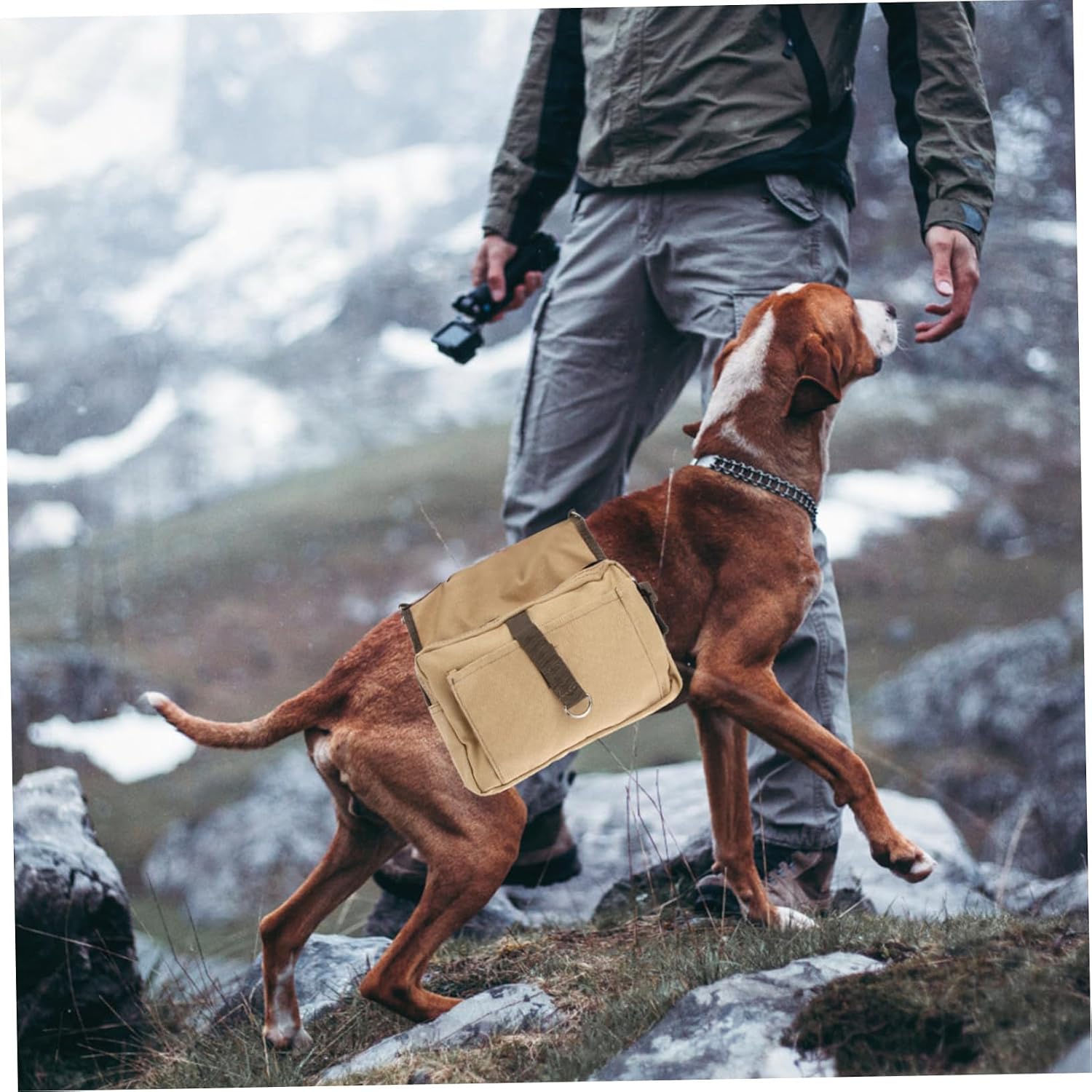 Hound Travel Canvas Saddle Bag for Medium and Large Dogs Backpack for Hiking Camping and Daily Walks Khaki Outdoor Rucksack