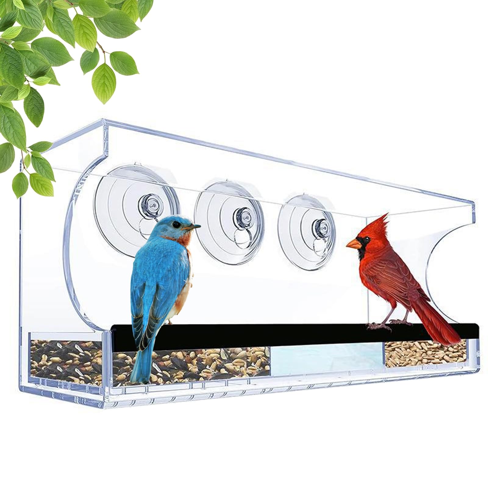 Mangeoire oiseaux fenêtre acrylique avec ventouses et bac amovible