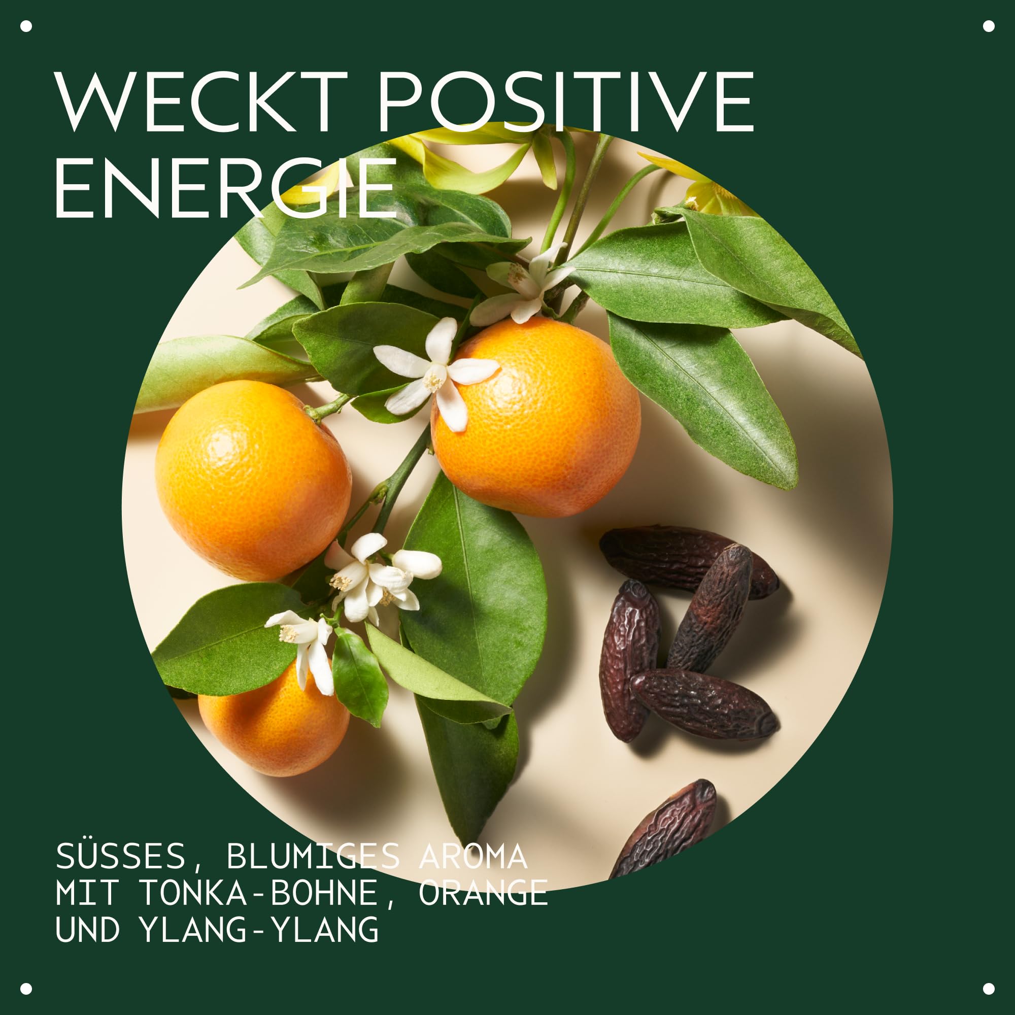 Aveda Cherry Almond Softening Shampoo, sanftes Haarshampoo zur täglichen Anwendung, für normales bis trockenes Haar, ohne Silikone, beliebtes Kirschmandel-Aroma, zu 97% natürlichen Ursprungs*