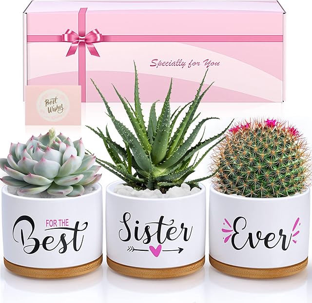 TuDou Birthday Gifts for Sister, Christmas Sister Gifts for Sister Brother Friends from Sister Brother Bestie, Best Sister Ever Ceramic Succulent Pots, Unique Presents Arrive Beautifully Gift Boxed