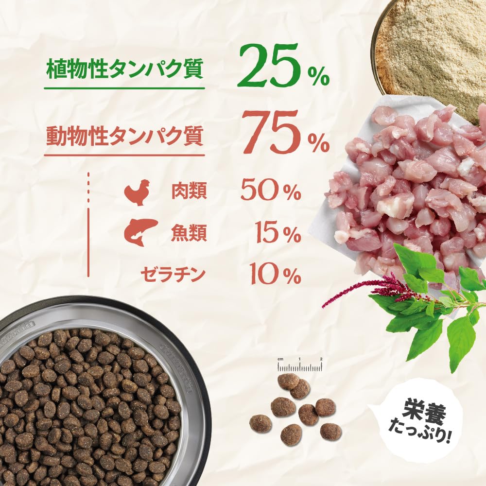 Amazon | BELCANDO ベルカンド シニアチキングレインフリー