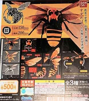 オオスズメバチ キイロスズメバチ クロスズメバチいきもの大図鑑すずめばち Amazon | いきもの大図鑑 すずめばち01 全3種類 オオスズメバチ