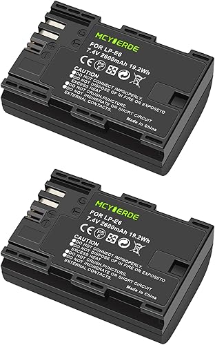 Paquete de 2 baterías de repuesto LP-E6 LP-E6N compatibles con Canon EOS 60D 70D 80D 90D 5D Mark II III IV 5DS 6D R R5 C700 XC10 XC15
