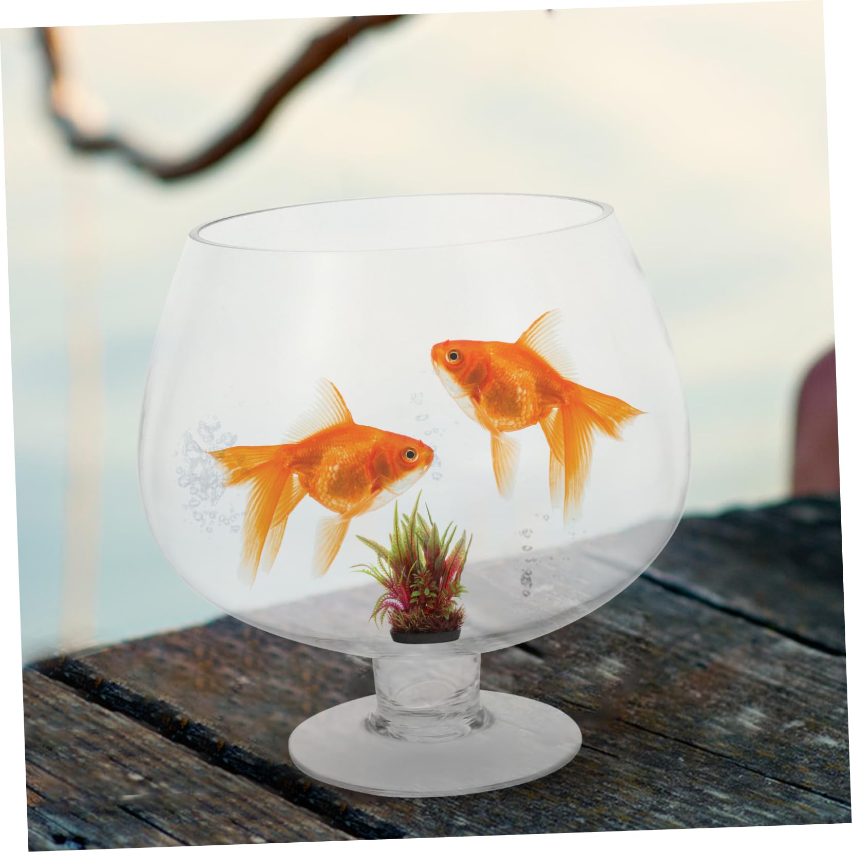 Acquario Trasparente Da Tavolo Per Pesci Rossi Acquario in Plastica Multifunzione Accessorio Decorativo Per Piante Per Ufficio E Casa