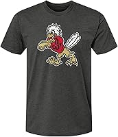 Vista 43 de Camisetas universitarias prémium de mezcla de algodón y poliéster NCAA