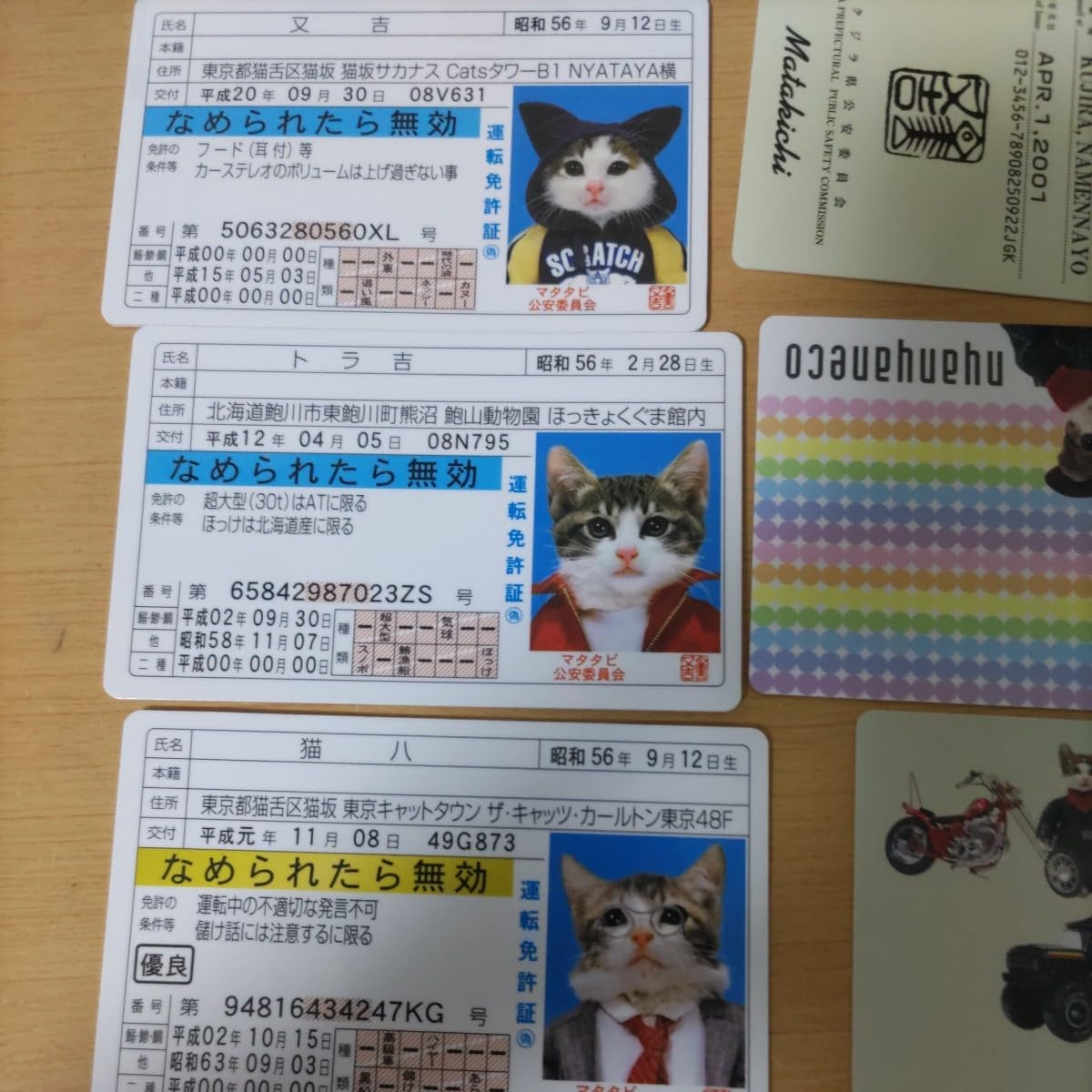 ⭐️希少品⭐️なめ猫免状等 なめ猫 キャラクターステッカー 免許証 LCS447 懐かし 80年代