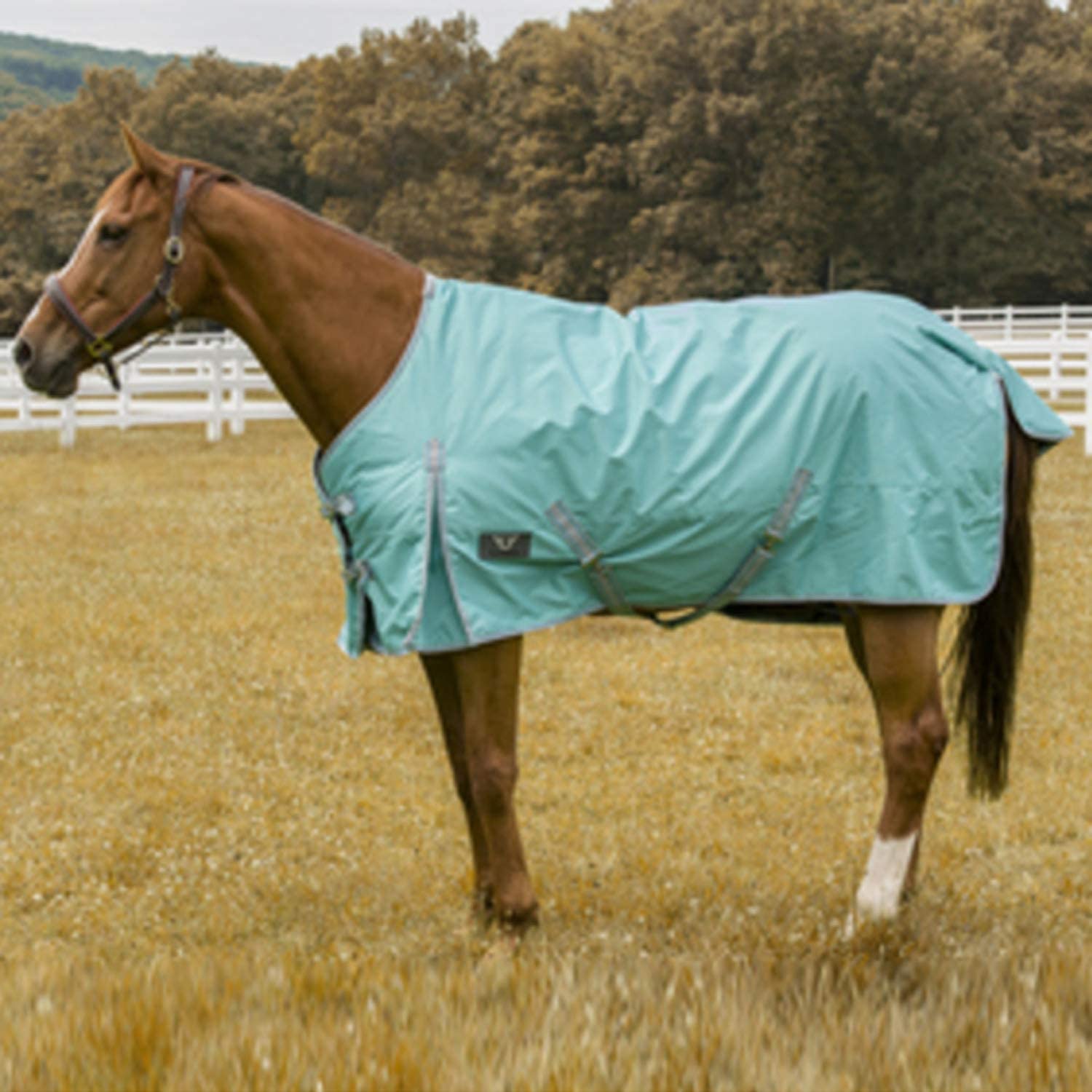 Couverture pour cheval au pré turquoise 78 imperméable contre le vent et le gel