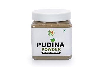 NatureVit Pudina Powder For Food [ Jar Pack ] 250.00 gm