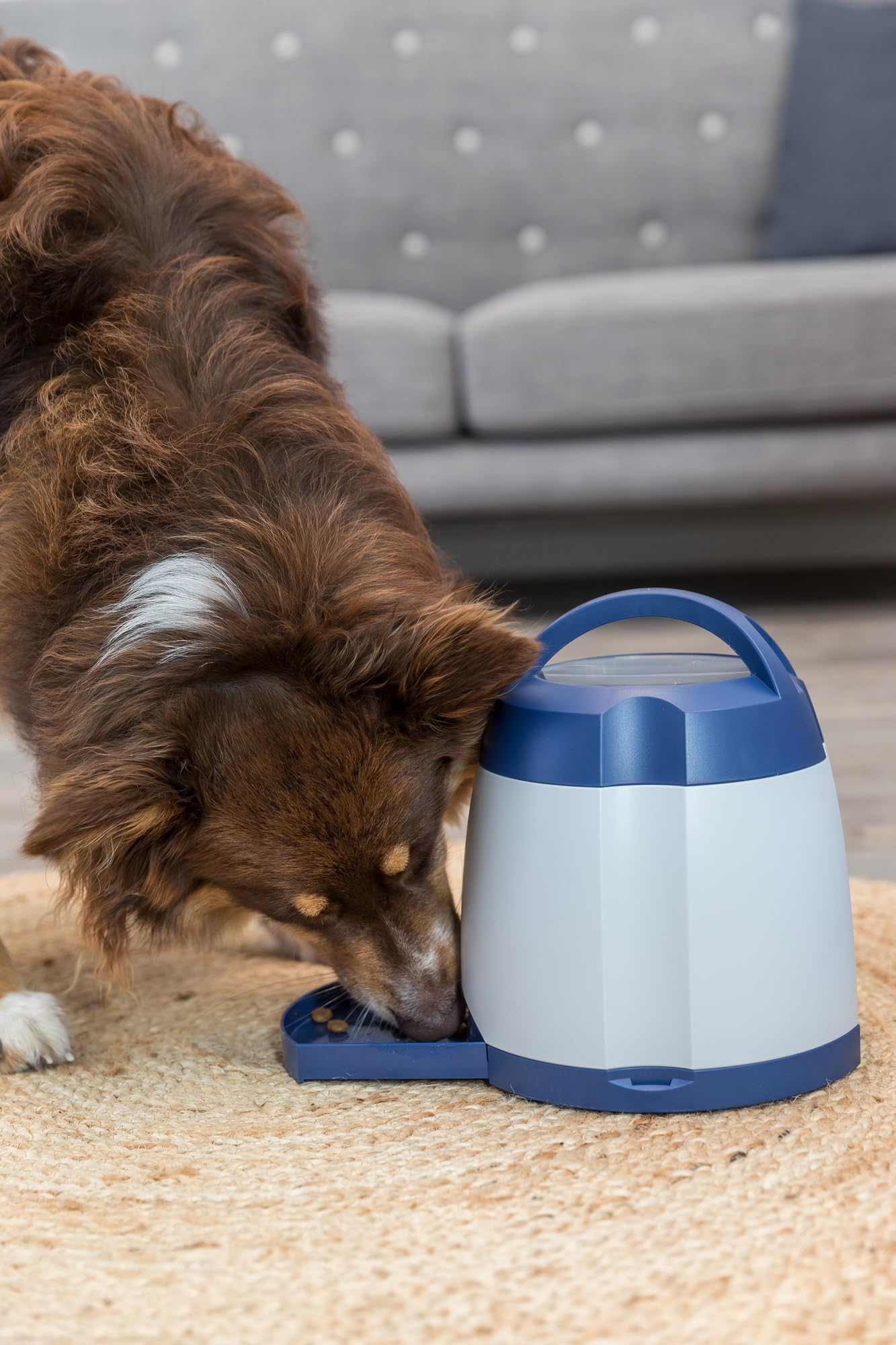 TRIXIE Dog Activity Memory Trainer 3.0 – juego estratégico interactivo para perros – estimula la resolución de problemas & el enriquecimiento mental – 20 × 24 cm