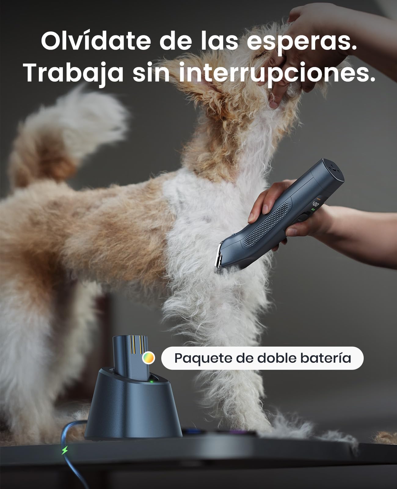 oneisall Cortacésped profesional para perros 2*Batería, recortadora de perros y gatos, 2 velocidades silenciosas para mascotas de pelo grueso, largas, rizado(Azul, 2*Batería)