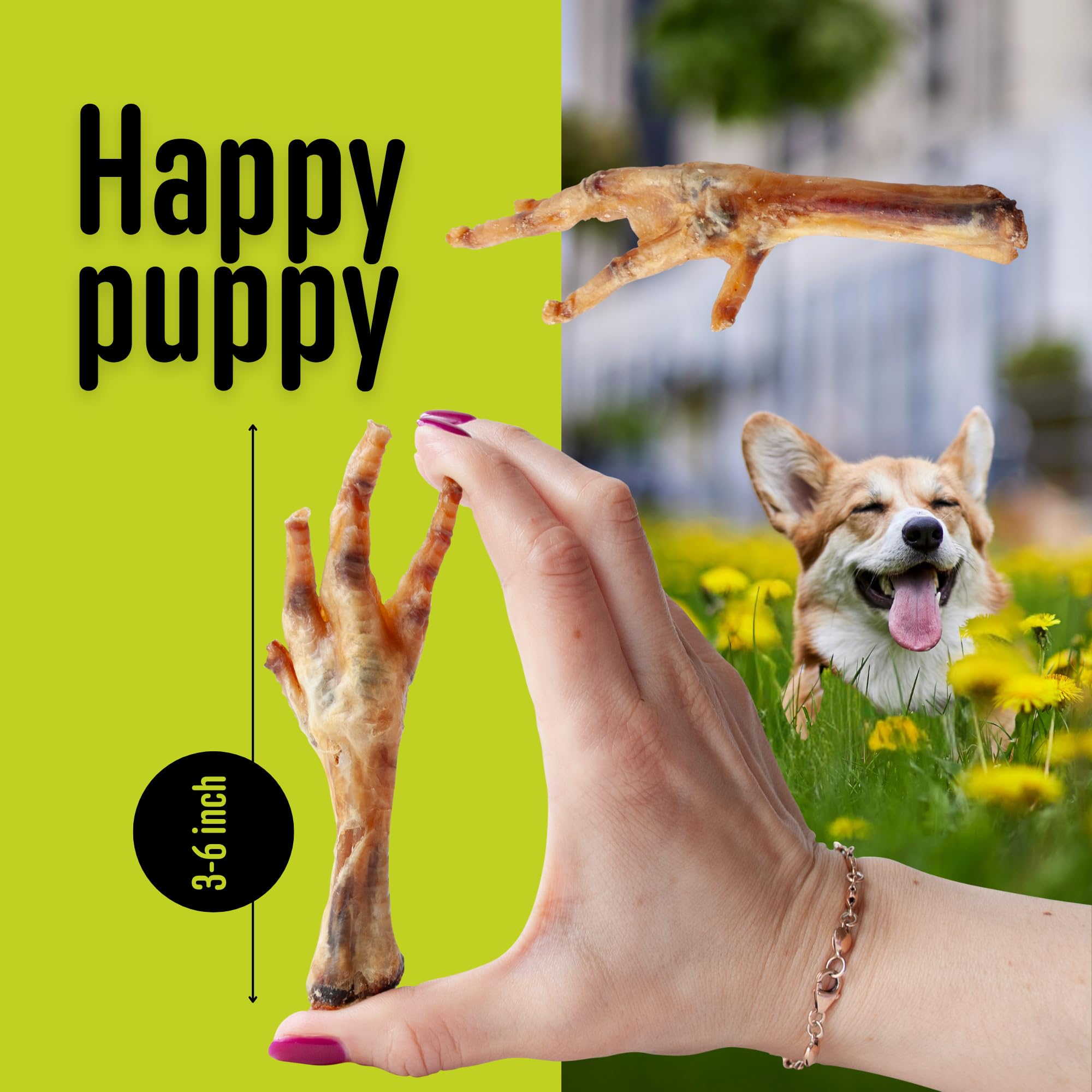 Pattes de poulet - Friandise pour chien - 100 % naturel, un seul ingrédient - Article à mâcher croustillant - Sans céréales - Riche en protéines et glucosamine - Snack sain - Fabriqué en Europe - 1 kg
