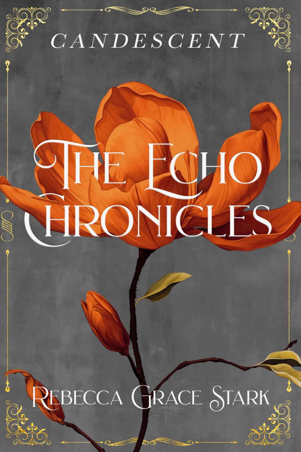 The Echo Chronicles: Candescent: 3