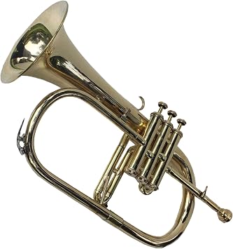Shreyas Great Value 3-Valve Bb Natural Brass Flugel Horn fluglehorn with Designer Hardcase   