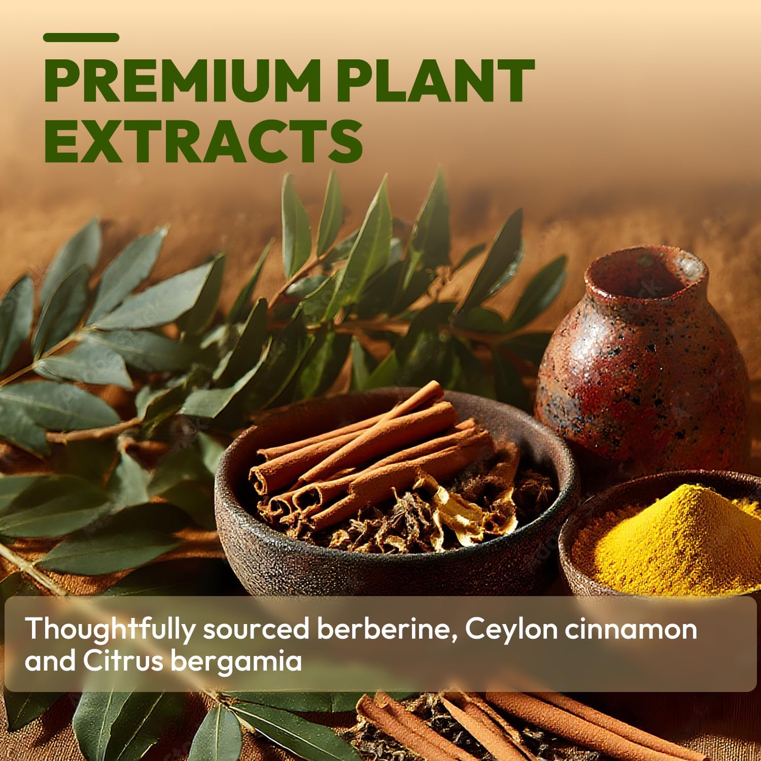 Liposomal Berberine with Ceylon Cinnamon for Weight Loss Metabolic Support — Amazon image 5