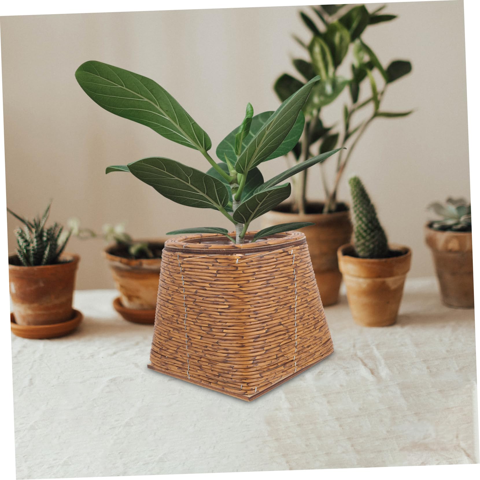 Bauli intrecciati in rattan (x2) HORTENSE | Maisons du Monde