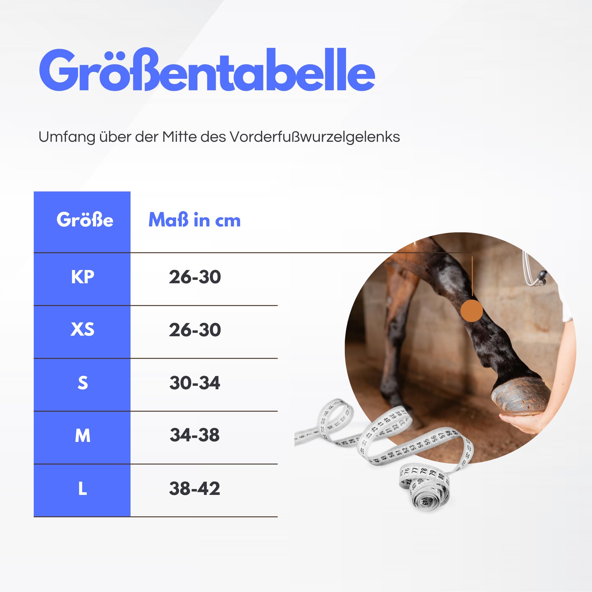 TSM Pferdebandage Vorderfußwurzelgelenk | Reha-Bandage aus Neopren | Schutz & Regeneration bei Arthrose & Entzündungen | Artikelnr 7201 | Made in Germany | Links, Größe S