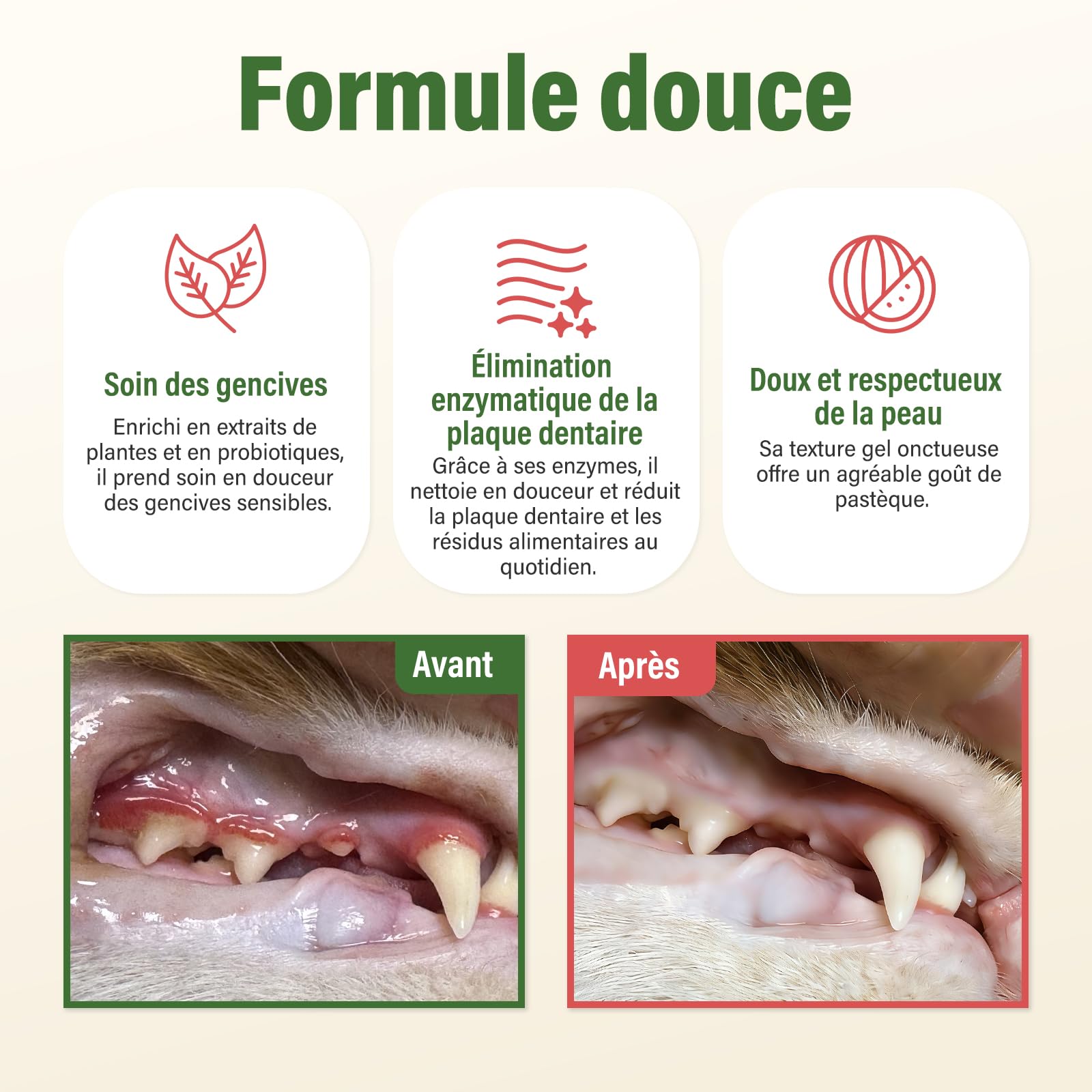 UNEK Dentifrice pour chiens et chats, saveur pastèque, pour des dents et des gencives saines, combat la mauvaise haleine, avec 2 brosses à dents