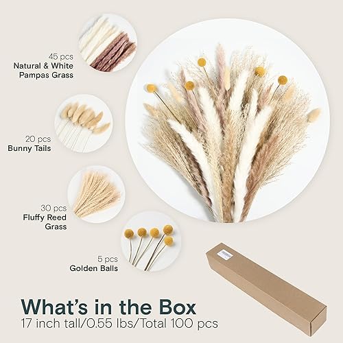 Miniatura 2 de LuxClub 100 ramos de hierba seca de las pampas que contiene colas de conejo, boda, ramo de decoración del hogar, granja, decoración bohemia para el