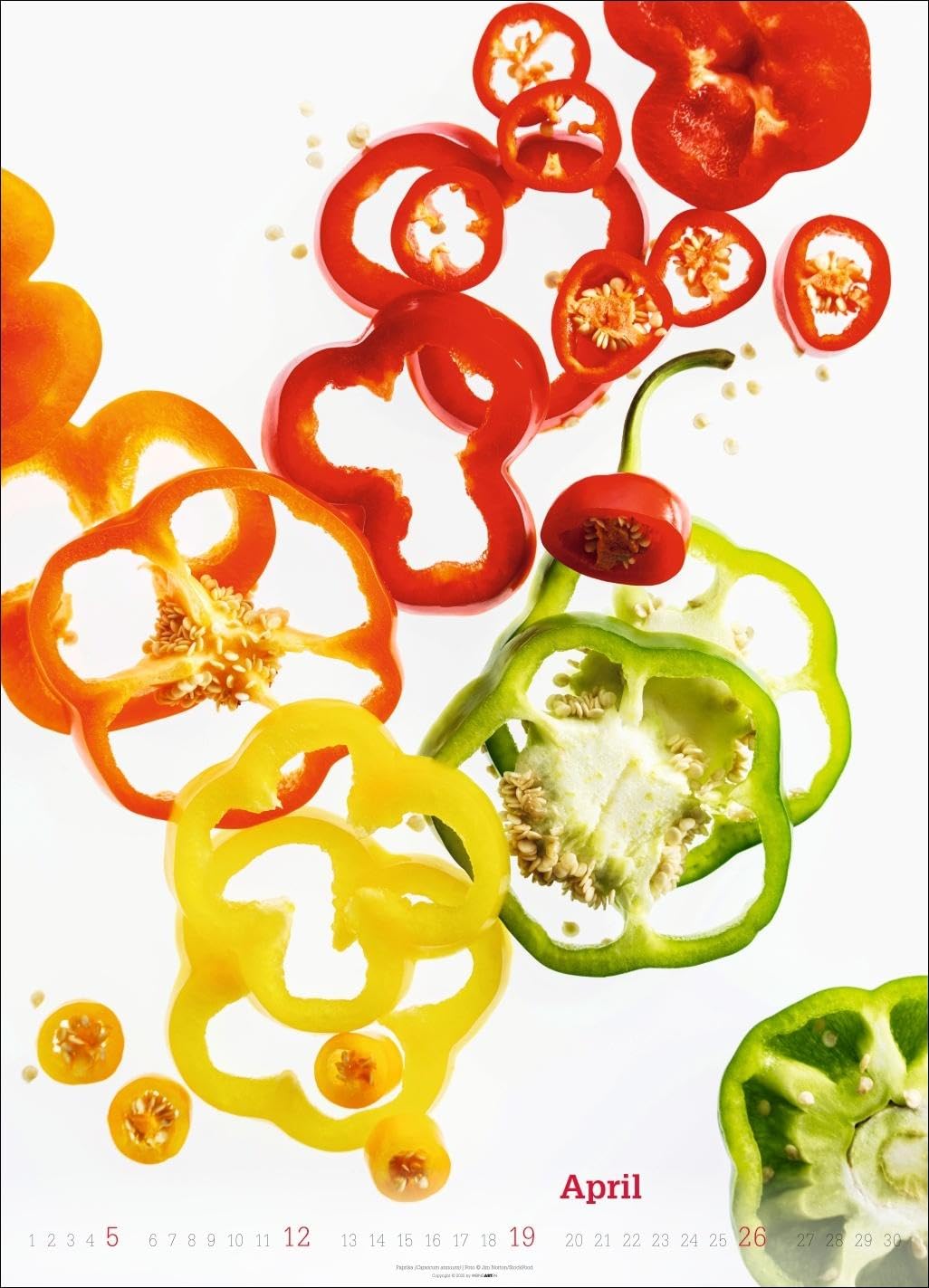 Fresh Food Kalender 2026: Großer Wandkalender mit 12 eleganten Lifestyle-Fotos für die Küche. Stylische Food-Fotografie Kalender 2026. 49 x 68 cm Hochformat.