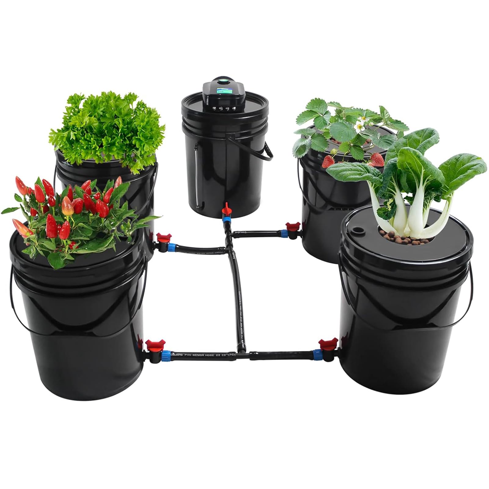 DWC Hydroponics Growing System, 5 Gallon 5 Buckets Deep Water Culture Growing Bucket Hydroponics Grow Kit with Pump and Multi-Purpose Air Hose, for Indoor/Outdoor Leafy Vegetables