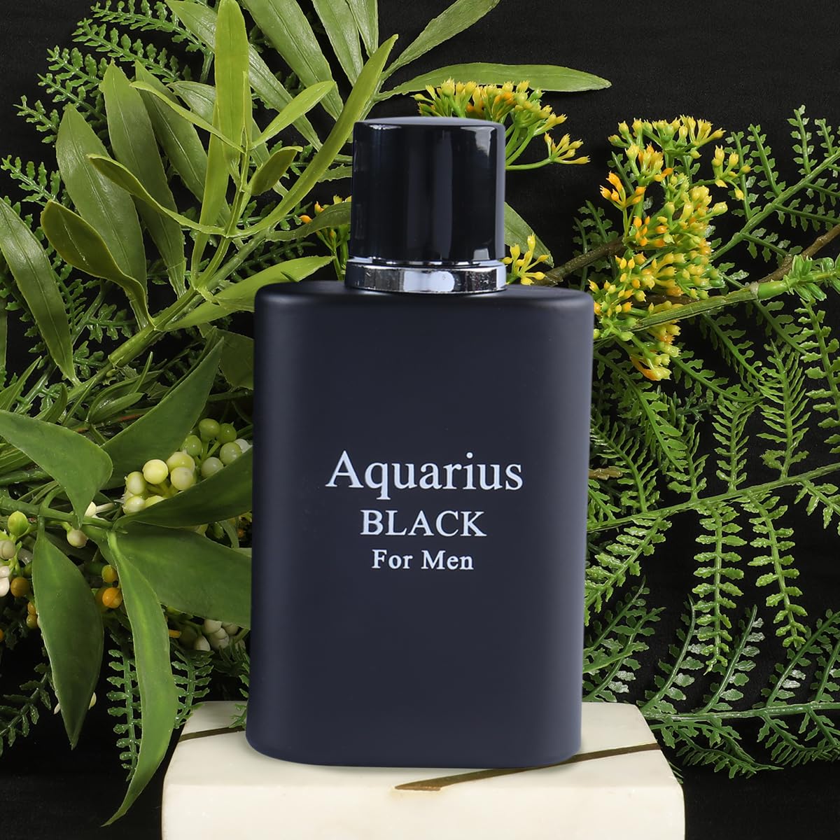 Amazon.com : Black Eau de Toilette for Men – Fresh Aquatic Woody