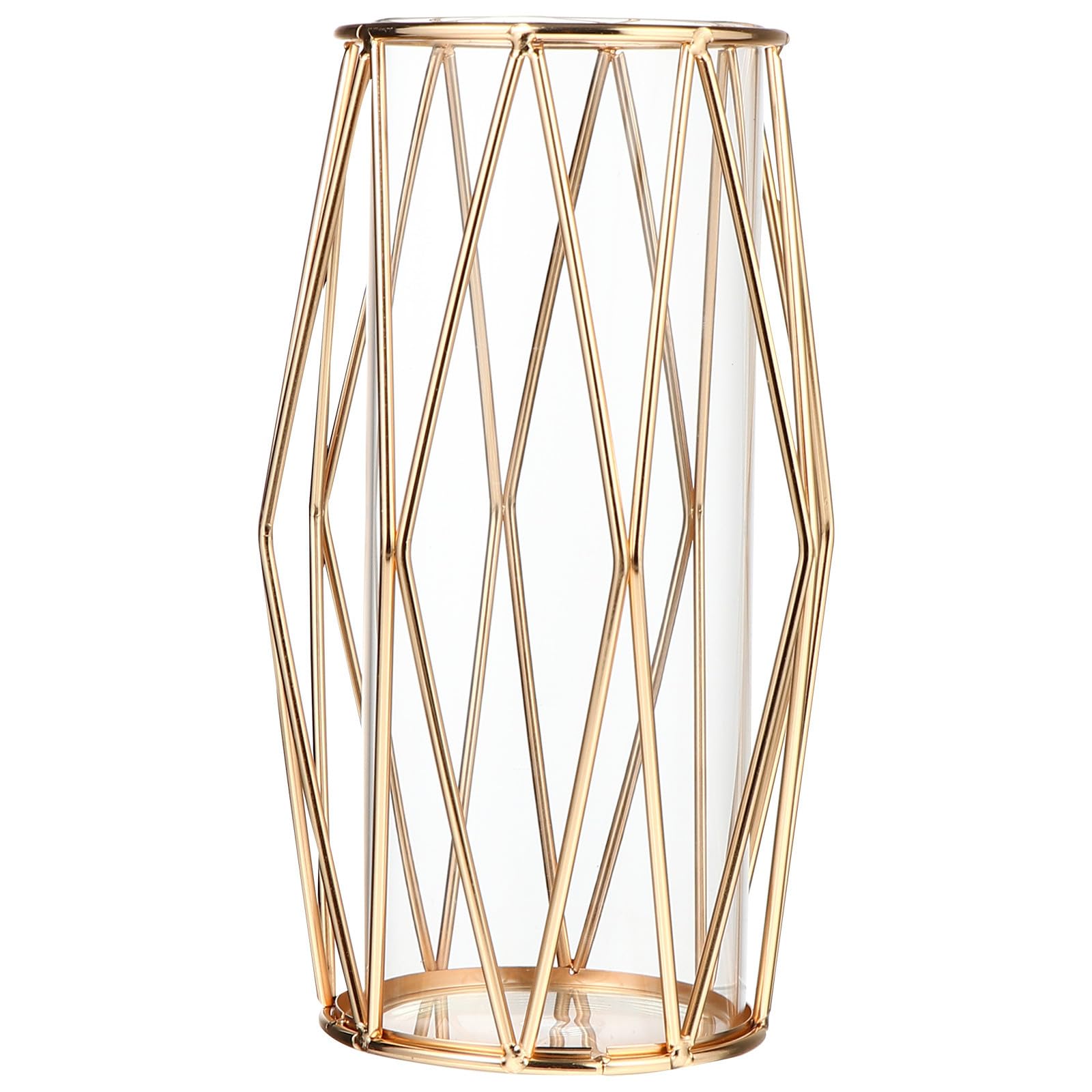Vase hydroponique verre pour décoration de bureau et salon lumineux
