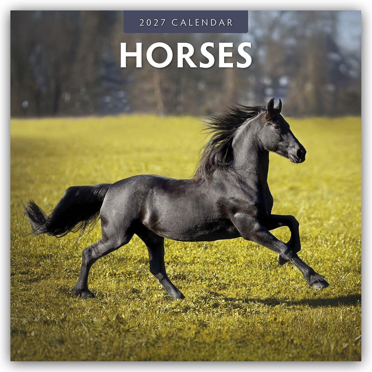 Horses 2027 Square Wall Calendar: Original Red Robin Publishing Ltd-Kalender [Mehrsprachig] [Kalender]