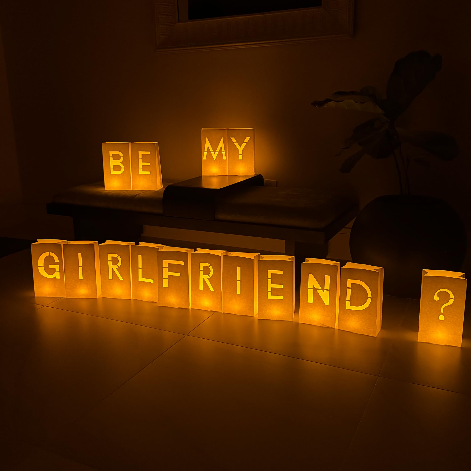 WYMM Be My Girlfriend Light Up Letters, 30 Tea Lights &amp; Rose Petals