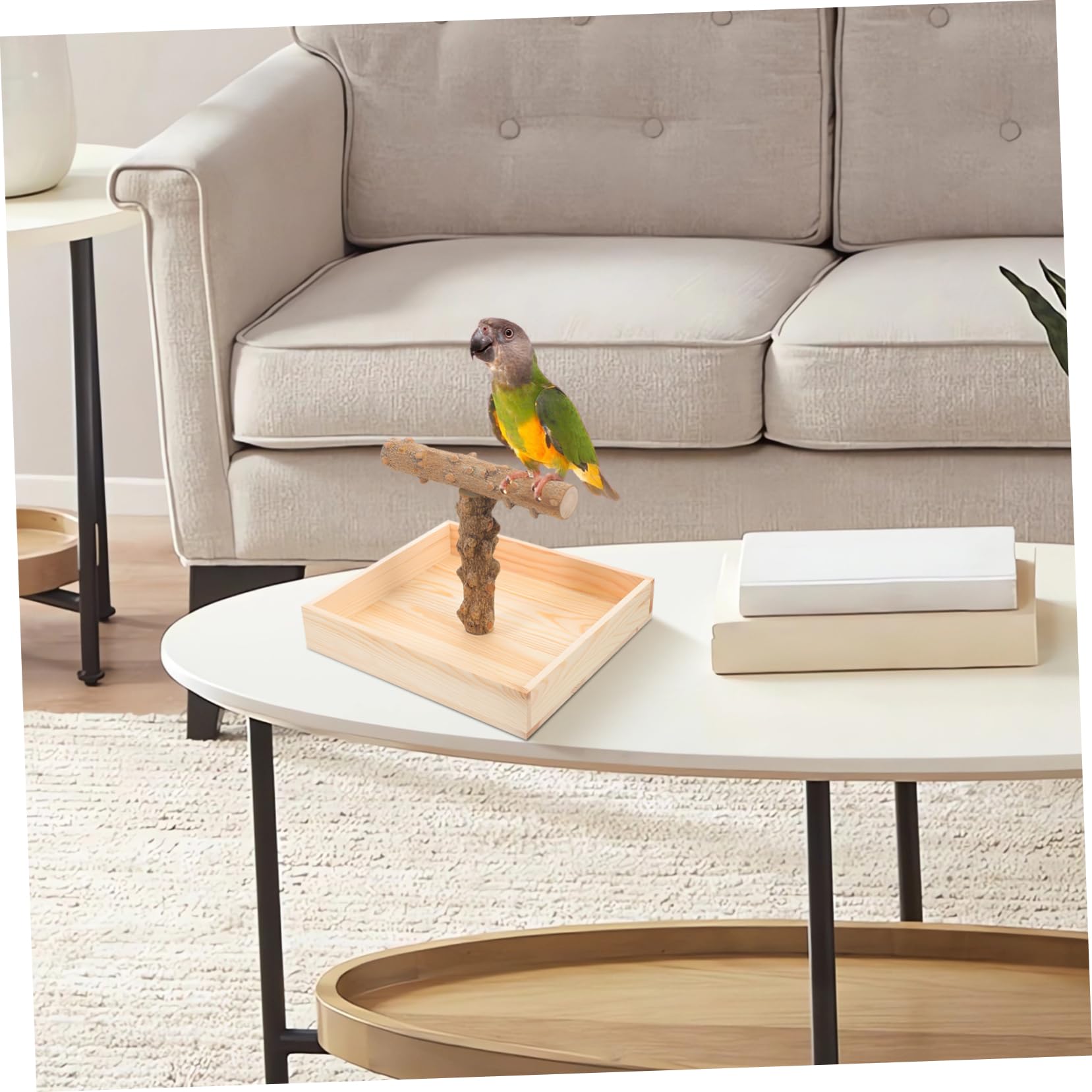 Toyvian Perchoir à Oiseaux en Bois Naturel pour Table Stable et Jeu pour Perruches