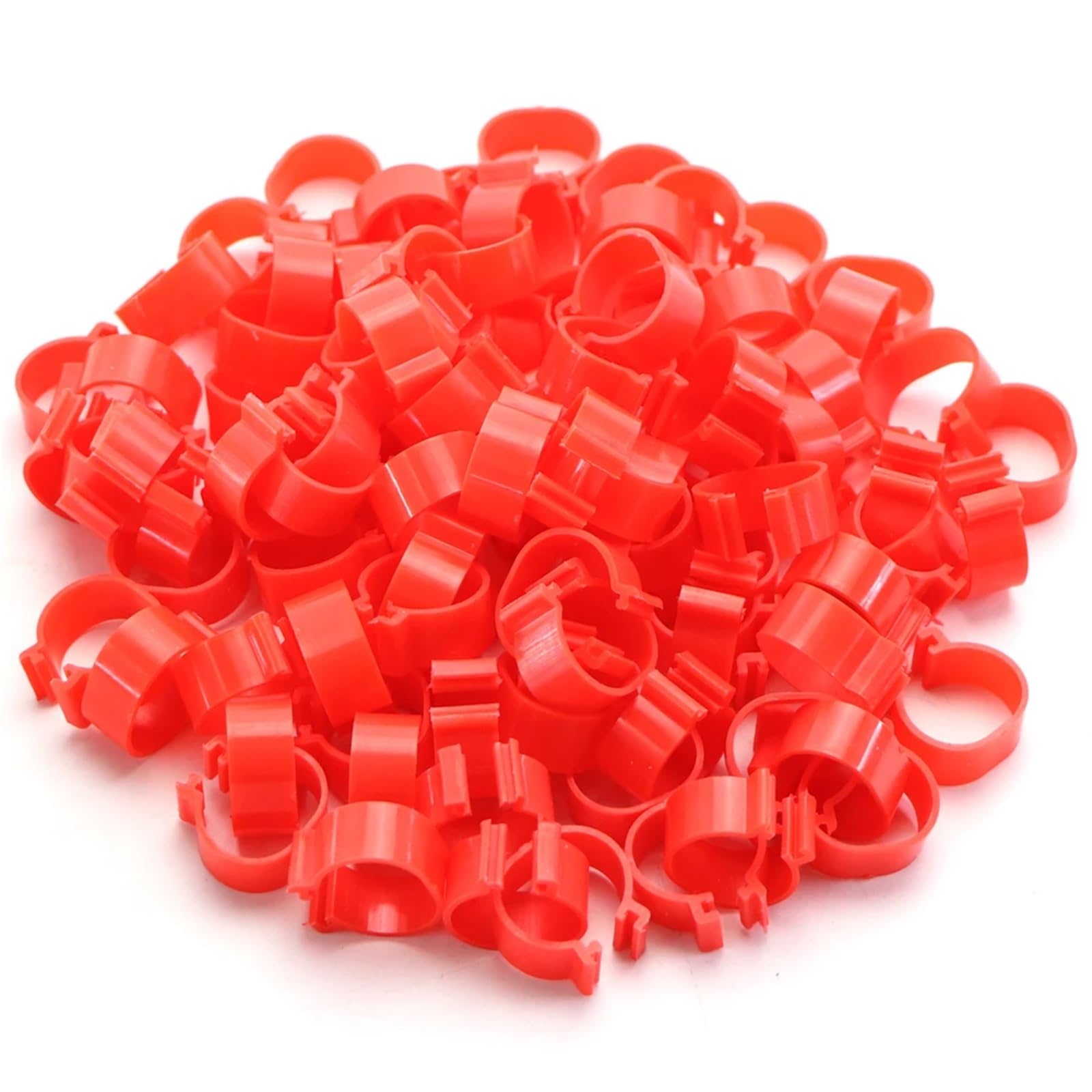 Anelli per Galline 100 pezzi 6 colori anelli for zampe di pollo, anatra, oca, strumento identificazione animali, etichetta vuota, fibbie, fascia a clip, 16/18/20/25,0 mm(Color 04,25.0mm)