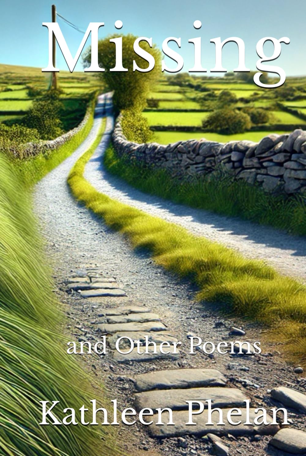 Missing: and Other Poems (Write-on Publications)