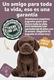 Ver la foto 6
