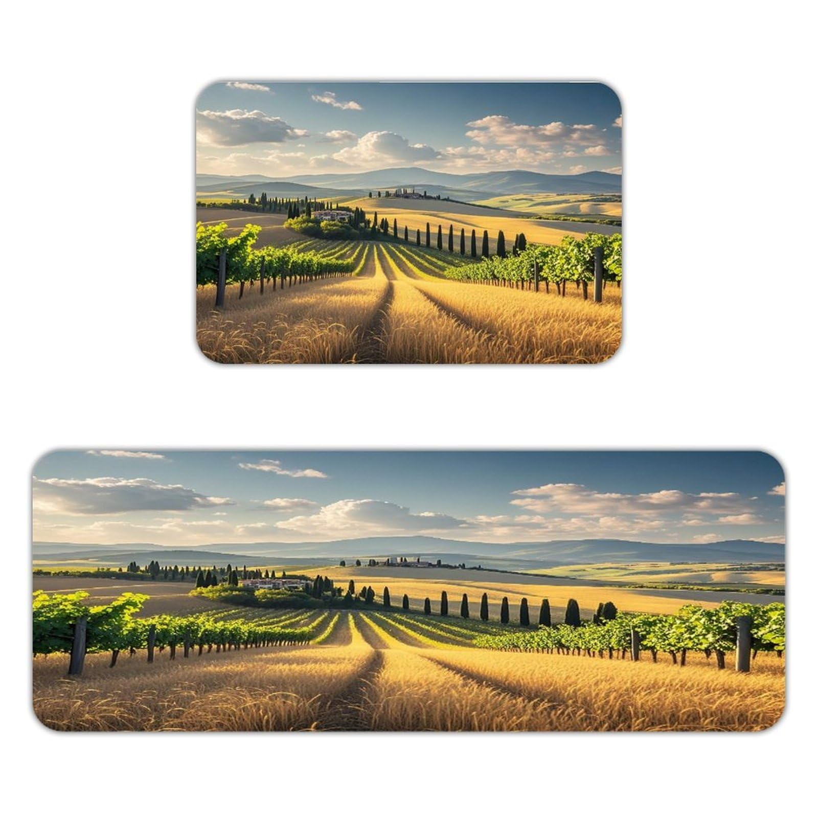 Tapetes de cocina toscanos para decorar el hogar con estilo italiano y comodidad, 2 uds