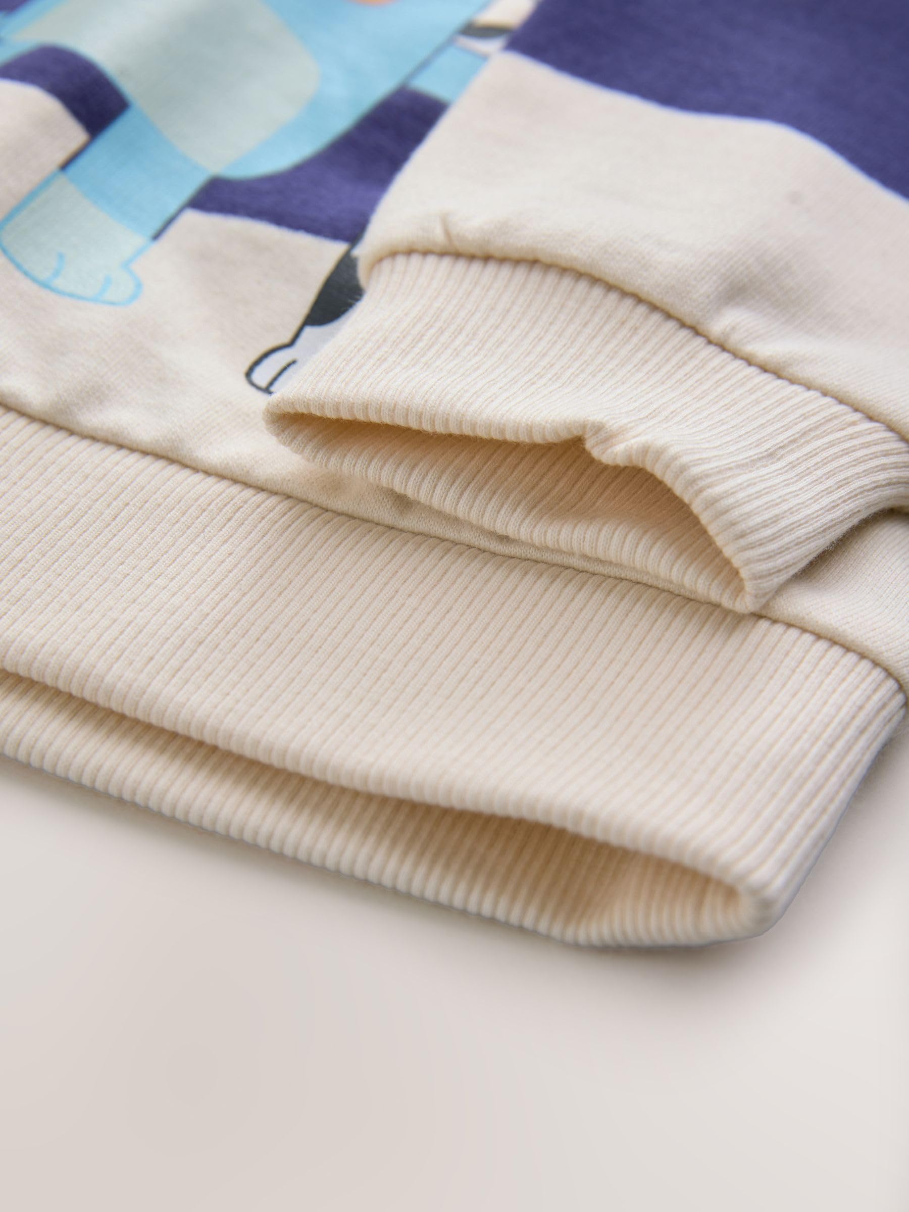 NEXT Jungen Bluey Sweatshirt mit Rundhalsausschnitt Baumwolle 80-128