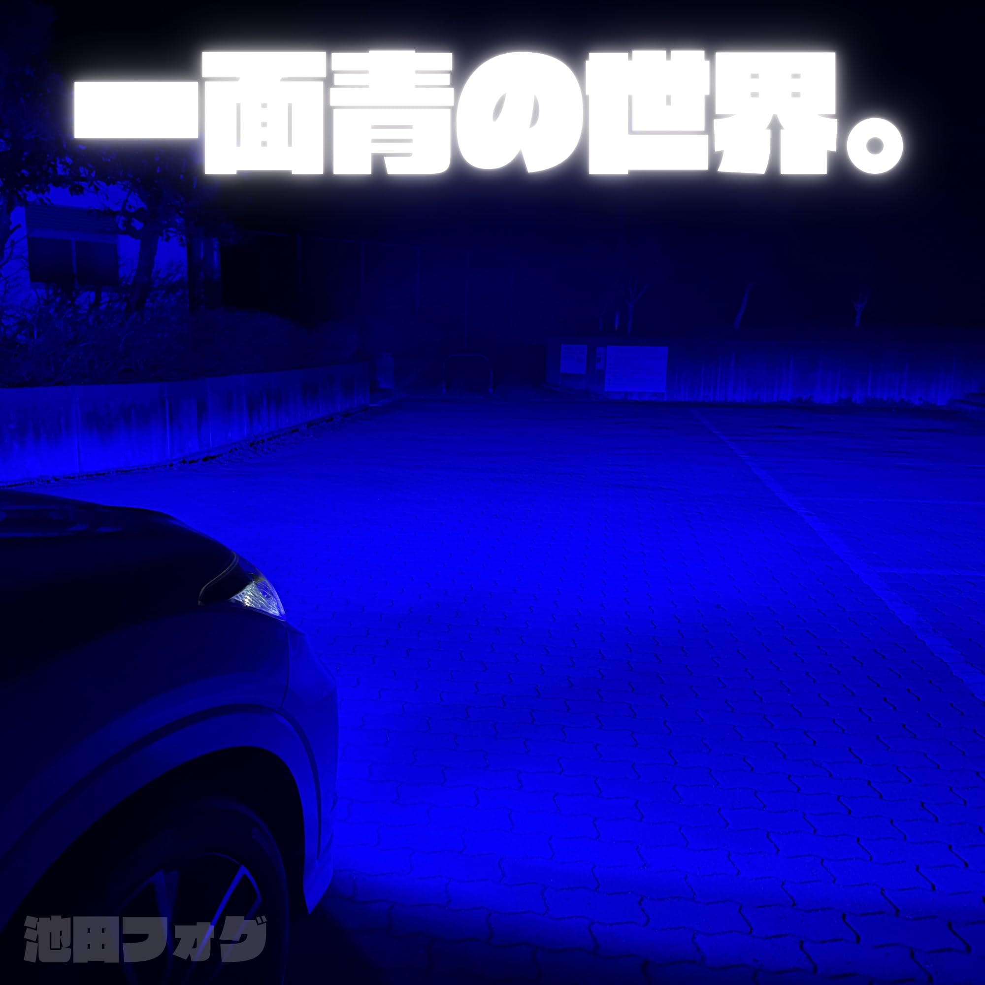 H8H11H16 青フォグ 爆光 Amazon.co.jp: 爆光ブルーフォグランプH8/H11/H16 HB4 PSX24W PSX26W