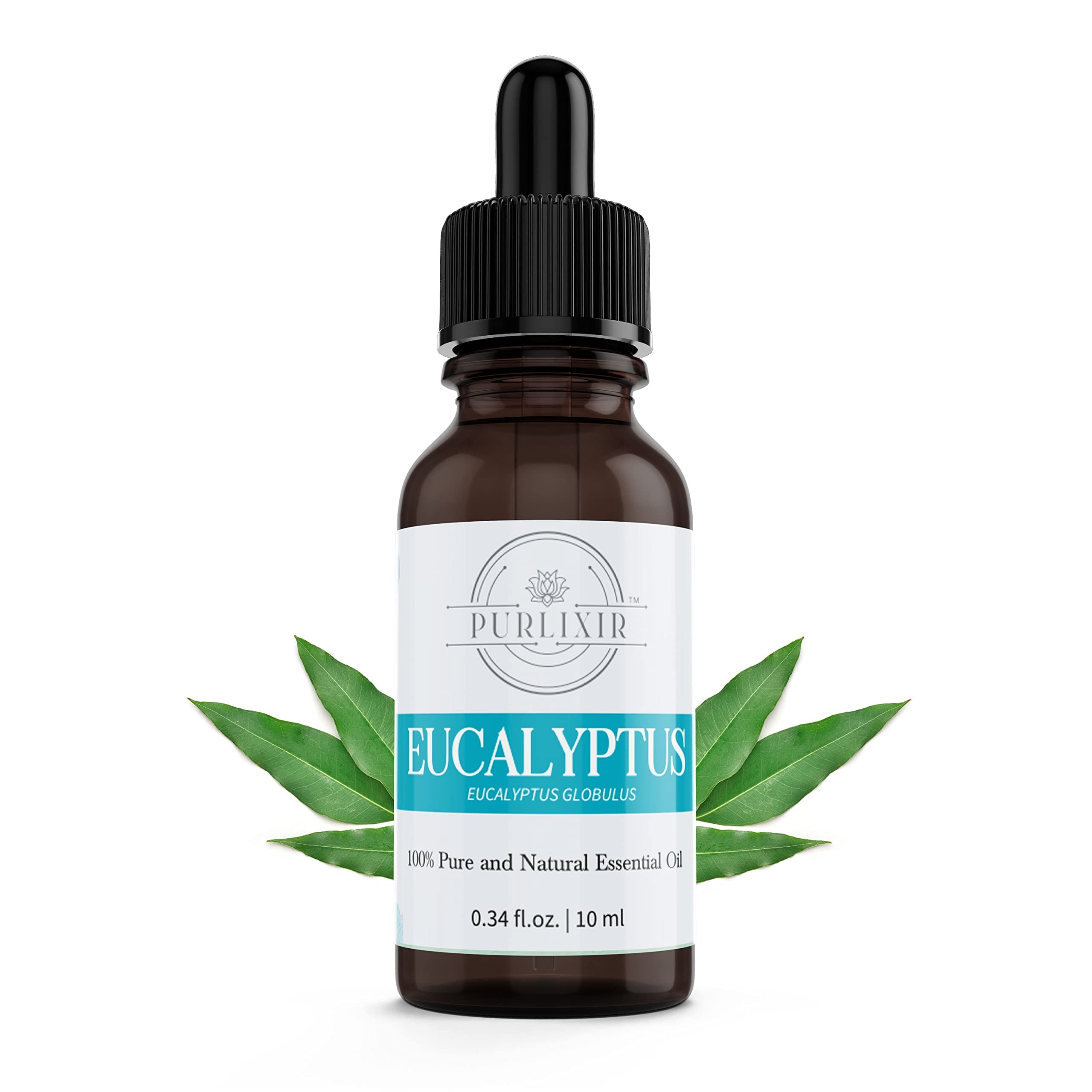 Purlixir Natural Eucalyptus Essential Oil | Perfect For Steam Inhalation, Cold & Cough| Revitalizing & Nourishing Care for Face, Scalp & Muscles | 100% Pure and Natural, Nilgiri Essential Oil | 10ML (B0BMVPQWP2) Amazon Price History, Amazon Price Tracker