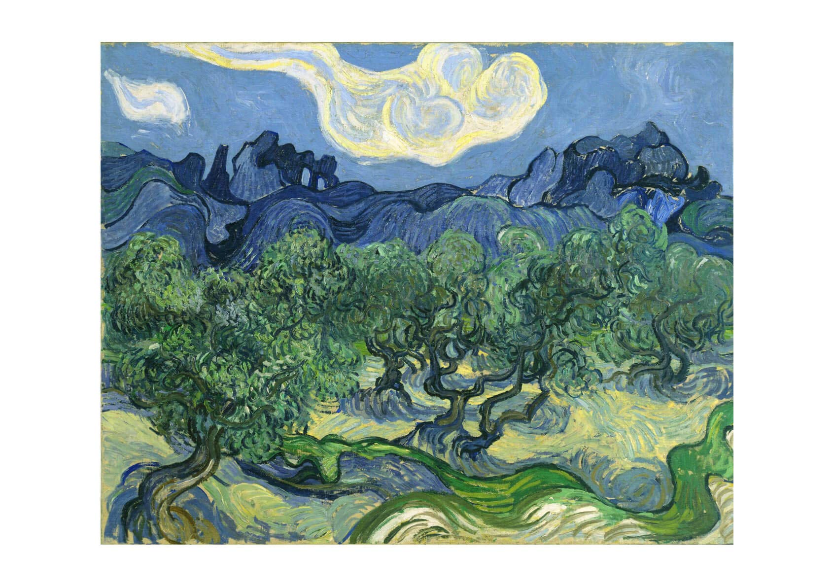 Impression Olive Trees Van Gogh paysage Alpilles cadre mat medium