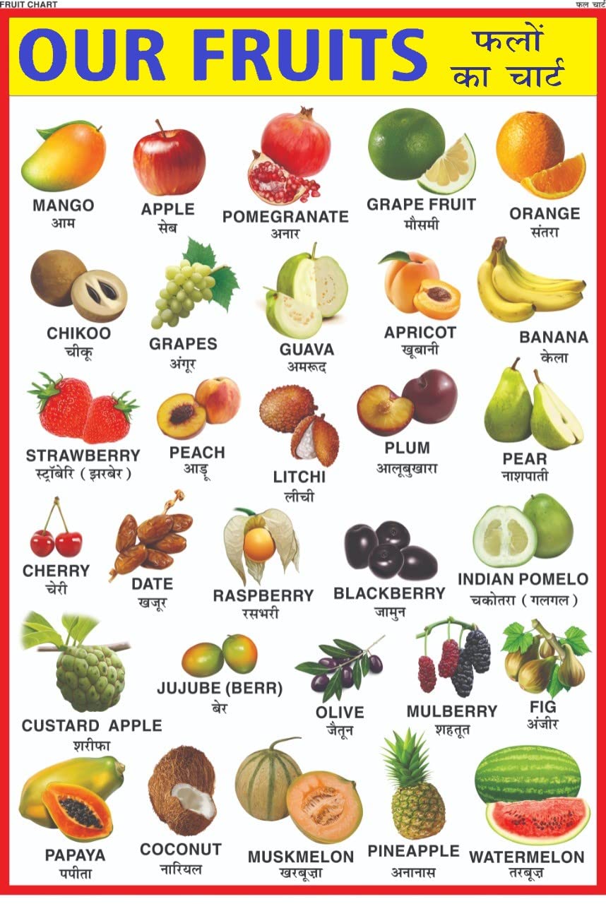 Fruits Chart for kids | 70x100 cm (Extra Large Size to attract Kids) | Non-Tearable and Waterproof | Perfect For Homeschooling, Kindergarten and Nursery Students Wall Chart – 10 July 2022