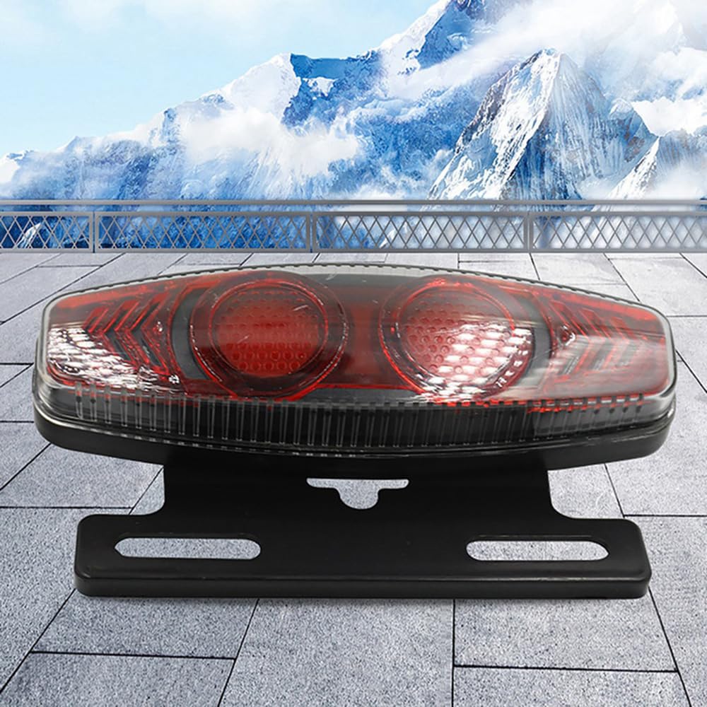 Fanale Posteriore a LED per ebike, 36V 48V, per Accessori per Biciclette elettriche, connettore SM, per Ciclismo Notturno.