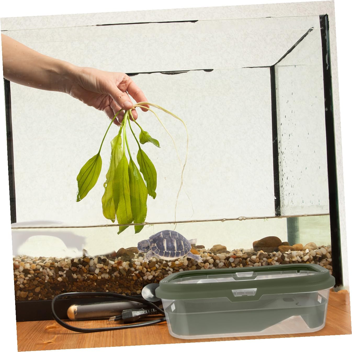 Turtle Feeding Container Tortoise Tank Drying Platform Large Plastic Turtle Aquarium Kit