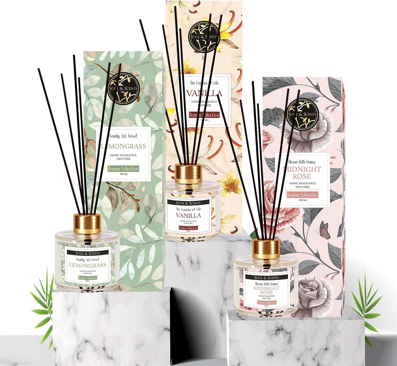 Soul & Scents Glass Midnight Rose, Vanilla and Lemongrass Reed Diffuser Set - 120ml with Free 6 Fiber Reed Sticks Each| Toxin Free & Stress Relief| Room Freshener for Home, & Office| Combo Pack of 3