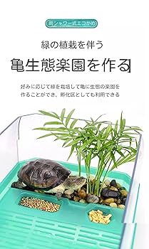 ラピスラズリ　亀 ラピスラズリ 亀 手彫りカービングbd551 - 御徒町の宝石屋