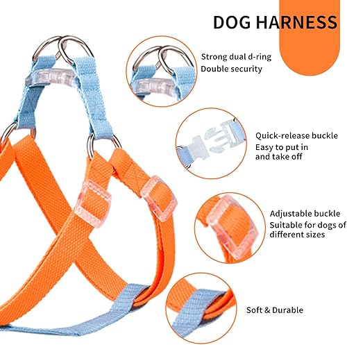 Miniatura 5 de AIITLE Arnés para perro, correa y collar  Arnés ligero multicolor con doble anillo en D  3 piezas ajustables para perros extra pequeños, caminata y